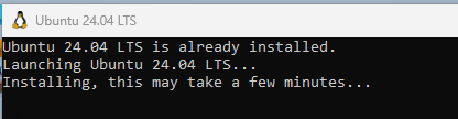 Screenshot of Ubuntu 24.04 LTS invoking its startup procedure and installing the distro.